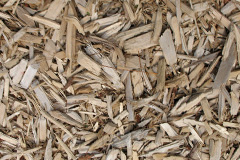 biomass boilers Prabost